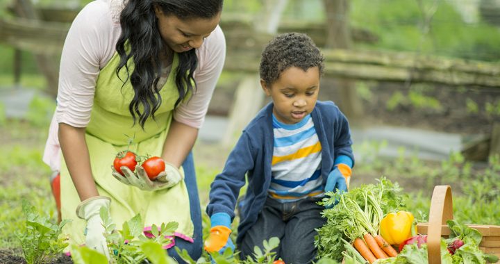 A mother and son planting a victory garden in their backyard.