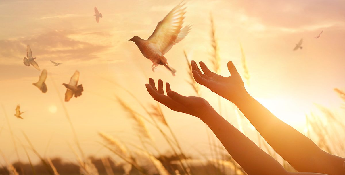 A person praying and releasing a bird.