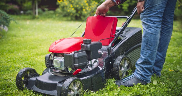 A person mowing their lawn